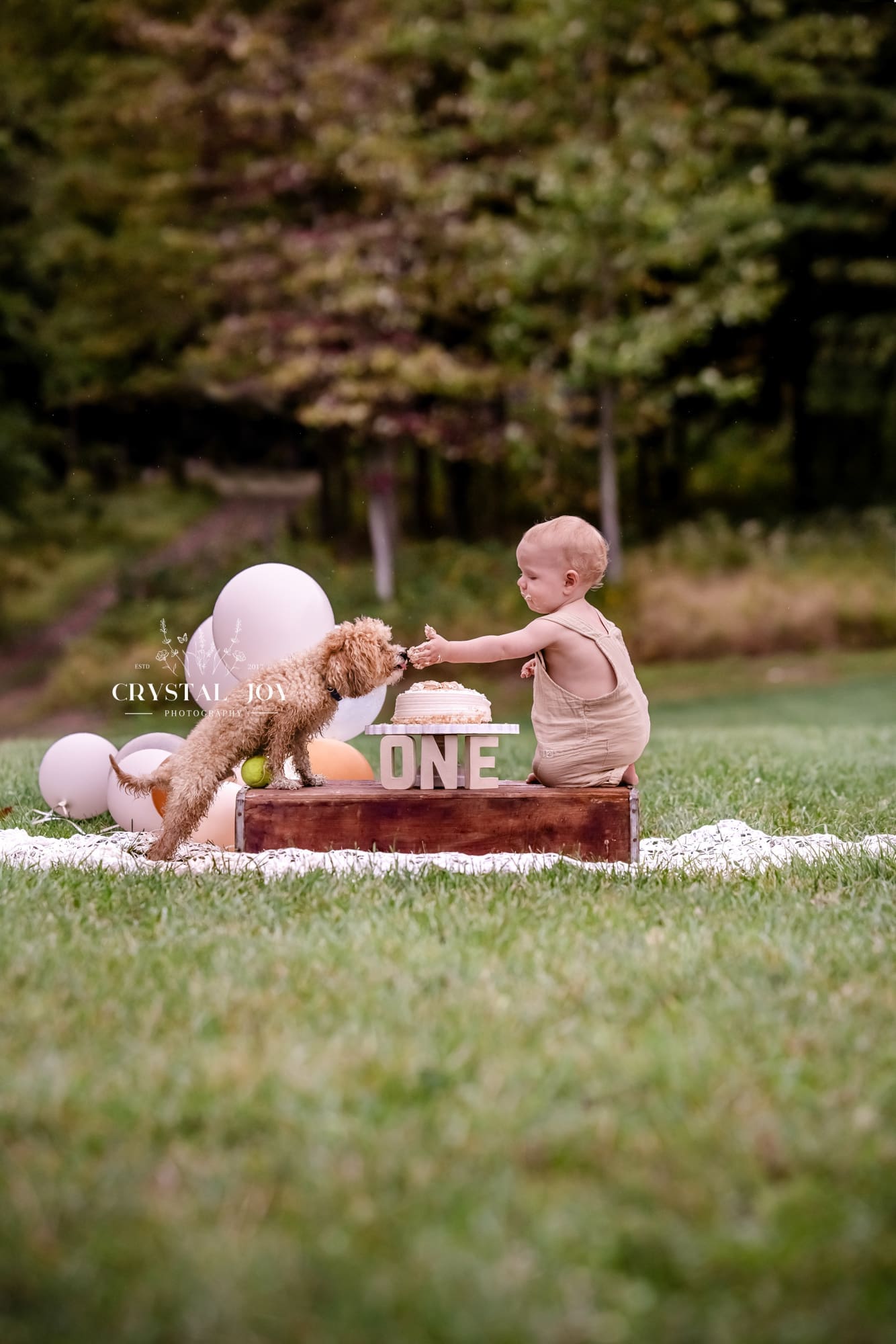 One-year old with cake and dog